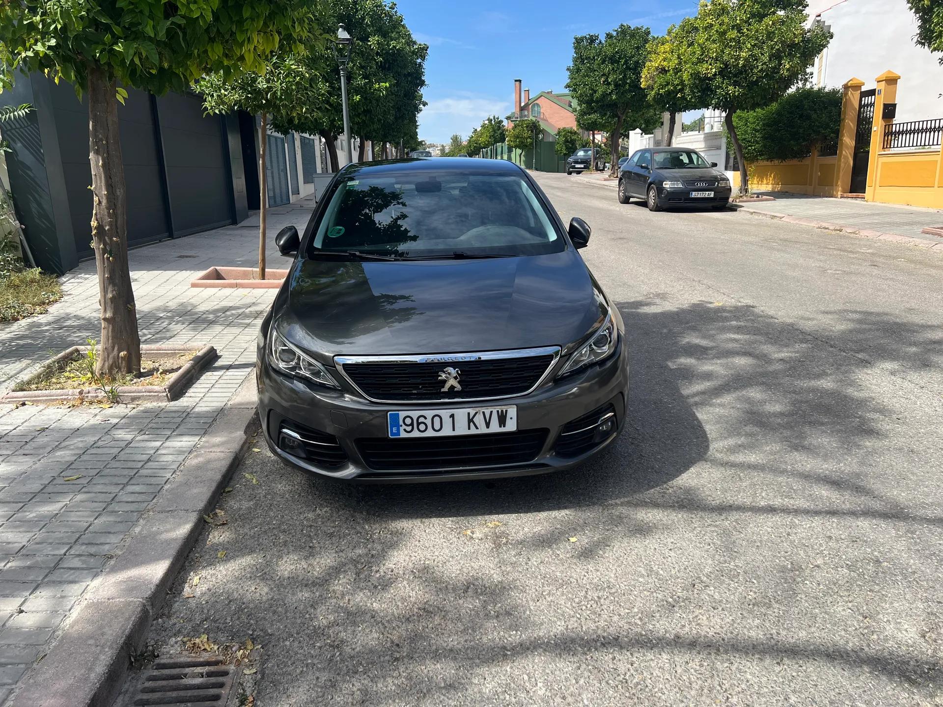 Peugeot 308 2019 de segunda mano